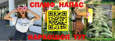 дмт Краснознаменск