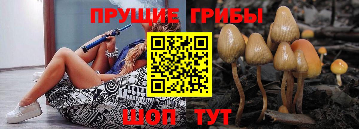 Псилоцибиновые грибы MAGIC MUSHROOMS  Вход с VPN  Иваново  Галлюциногенные грибы мицелий 